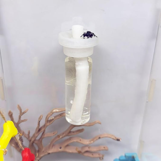 Jumping Spider Water Dispenser, Magnetic Hanging Feeder,Suitable for Jumping Spiders,Tarantulas, Praying Mantises,Arboreal Animals, and Other Small Animal Enclosure Accessories (Transparent, 15ML)