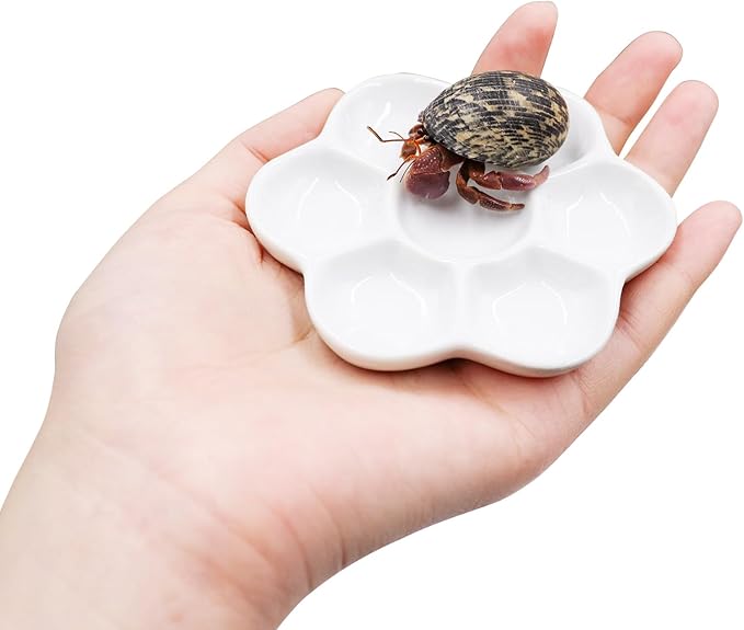 3 Pack Hermit Crab Food Bowl & Water Dish, Ceramic Hermit Crab Feeder Kit, Suitable for Hermit Crab Tarantula Snail