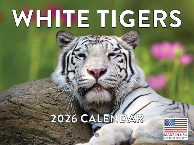White Tiger Calendar 2026 Monthly Wall Calender 12 Month | American Made In The USA