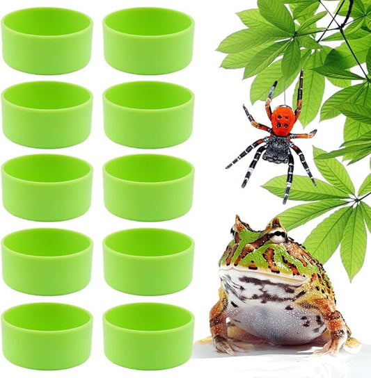 10 Pcs Tarantula Micro Water Bowl Small Reptile Food Dish Feeding Bowl for Spider Gecko Lizard Horned Frog Turtle (Green)