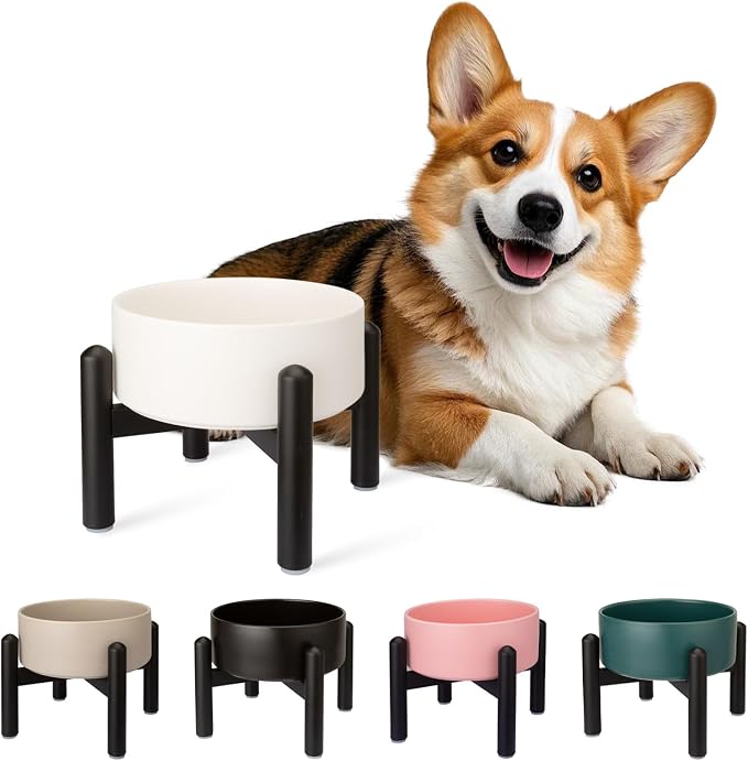 Raised Ceramic Dog Bowl Set with Stand, 2 Cups Elevated Dog Food Stand | 6.1'' Single Dog Food or Water Bowl Set, Non-Slip Dog Feeding Dishes for Small to Medium Breeds, 28.75 OZ, White