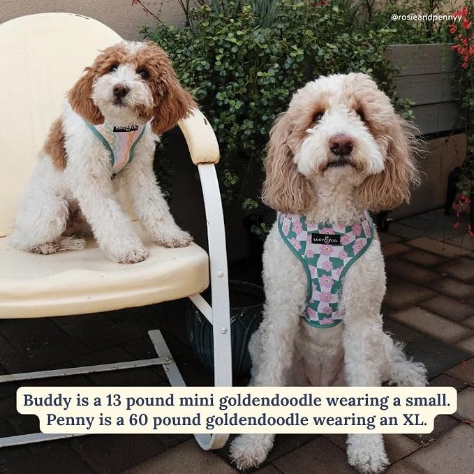 Lucy & Co. Reversible Dog Harness - Water-Repellent Neoprene, Dual-Print Design, Easy Swap Style, Adjustable Comfort Fit - Just Chill Reversible Harness - Large