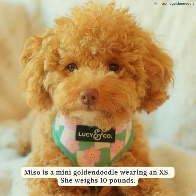 Lucy & Co. Reversible Dog Harness - Water-Repellent Neoprene, Dual-Print Design, Easy Swap Style, Adjustable Comfort Fit - Just Chill Reversible Harness - Medium