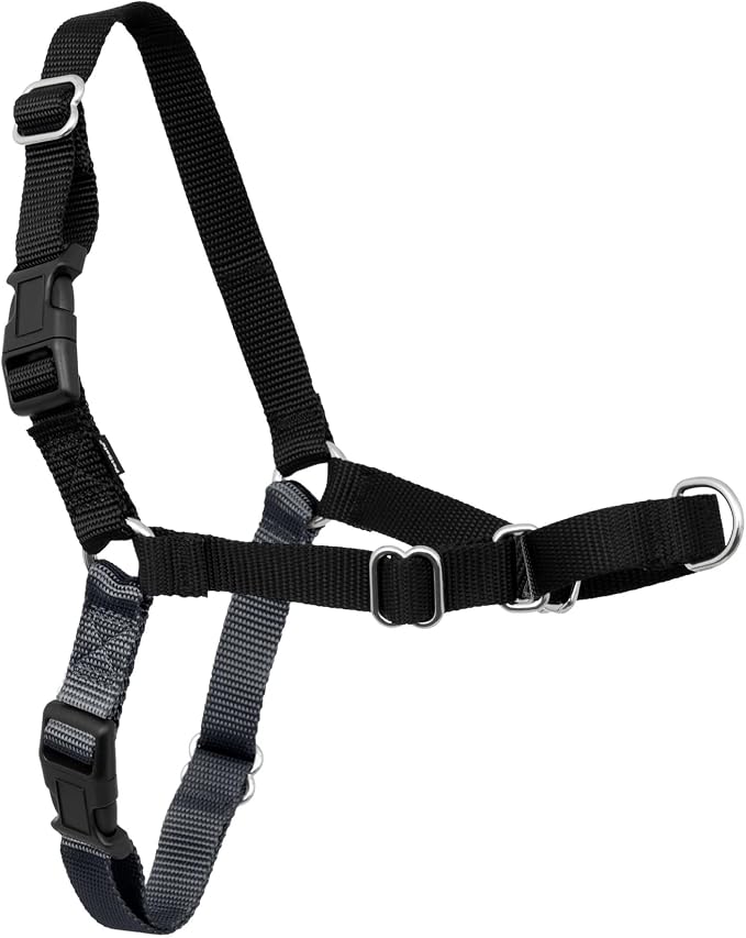 PetSafe Easy Walk Harness, No Pull Dog Harness, Charcoal Gray, Extra Large | Patented Martingale Loop Gives Gradual Shoulder Pressure to Stop Pulling, Front-Chest Leash Clip Prevents Gagging