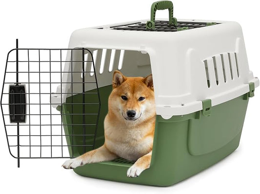 Athena Collection 22" Hard-Sided Travel Pet Carrier for Small Dogs and Cats | Plastic Dog Crate with 2-Door Top & Front Load, Ventilation, Security Lock, Cat Dog Carrier for Pet, up to 22lbs, Green