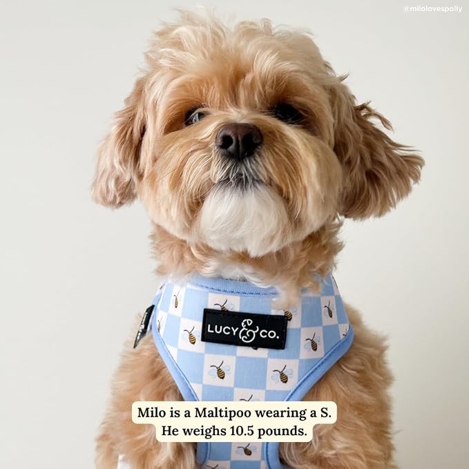 Lucy & Co. Reversible Dog Harness - Water-Repellent Neoprene, Dual-Print Design, Easy Swap Style, Adjustable Comfort Fit - Bumbling Around Reversible Harness - X-Small