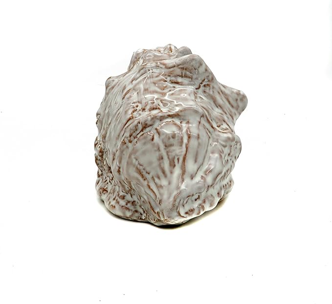 Aquarium Decorations Cave Ceramic Sea Shell Decor, Rock Cave Decor for Shrimp Cichlid Hiding Fish Tank (Sea Shell A)