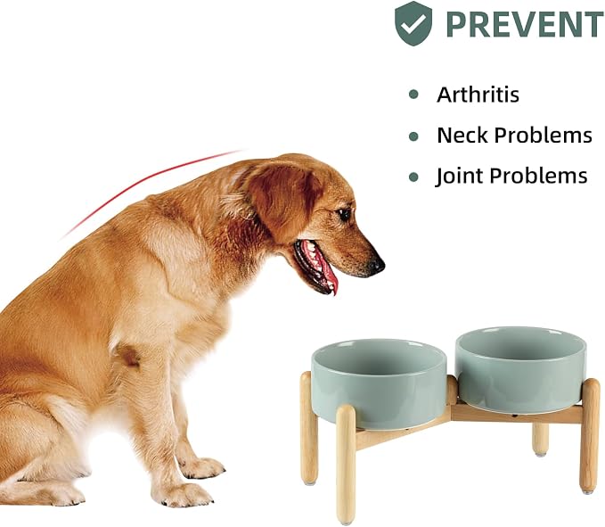 Havniva Elevated Dog Bowls Ceramic Dog Bowls with Stand, Dog Food Bowl | 7.3” Raised Dog Bowls with Non-Slip Wood Stand, Dog Food and Water Bowl Set, Double Dog Feeding Bowls for Medium Dogs