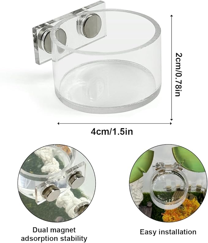 Jumping Spider Feeding Dish Set, Magnetic Water Bowl, Reptile Feeding Tongs, Jumping Spider Enclosure Accessories