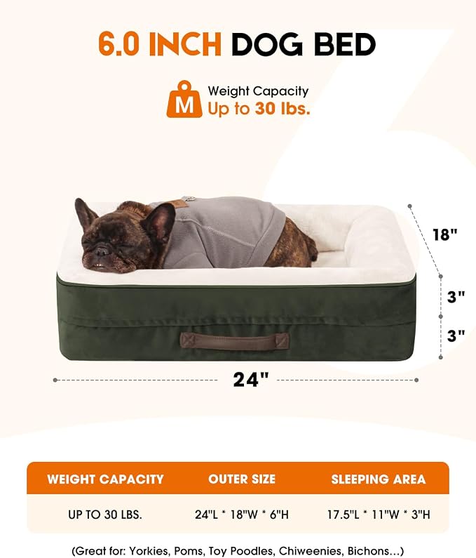Upvilla Orthopedic Dog Bed, Four-Sided Small Dog Sofa, Washable Cover Green | Removable Waterproof Dog Bed Cover, Egg-Crate Orthopedic Foam, Built-In Carry Handle, Indoor Small Pet Beds, Cat Beds