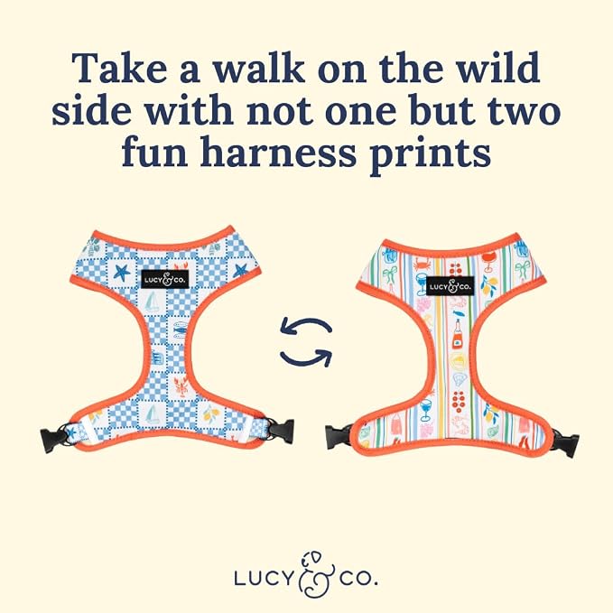 Lucy & Co. Sunny in Sicily Reversible Dog Harness, Adjustable Comfort Fit with Dual Leash Attachments, Medium
