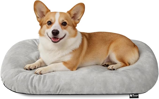 Washable Oval Medium Dog Bed, Silver-Tipped High-Resilience, Light Gray | Non-Slip Bottom Prevents Sliding, Soft Plush Short Fur, Machine Washable, Ideal for Crates/Apartments/Cozy Nooks,29"x18"x2.8"