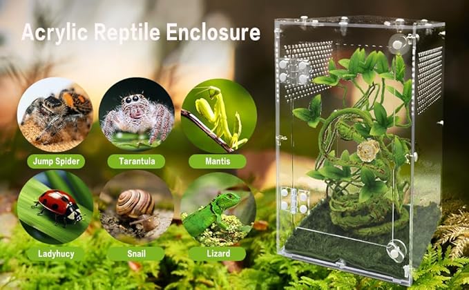 Jumping Spider Enclosure, Tarantula Enclosure with Front Opening Door, Reptile Enclosure Suitable for mantises, Spiders, Lizards, Frogs and Insects. (6x6x10 Inch, Assemble)