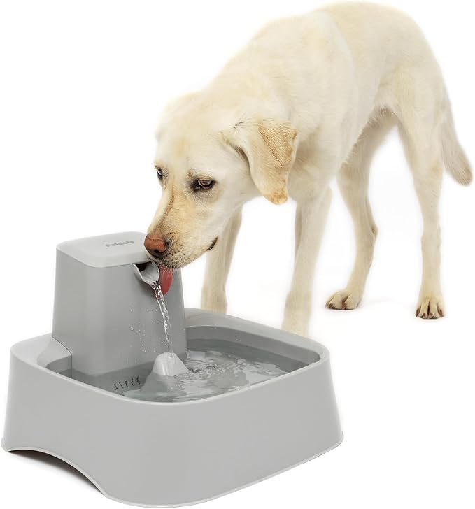 PetSafe Oasys Pet Fountain, 2 Gallon/256 oz, Dogs & Multi-Pet Homes | Adjustable Water Flow, Open-Bowl Design Keeps Water Available in Outages, Dishwasher-Safe, Filter Included