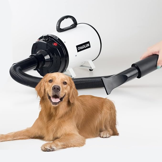 Dog Dryer for Pet Grooming, Pet Hair Dryer with Heater, White