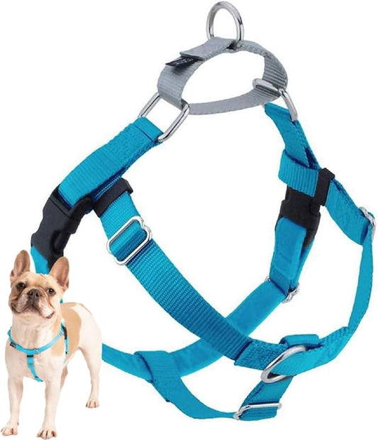 2 Hounds Design Freedom No Pull Dog Harness, 5/8 inch SM, Turquoise | Discourages Pulling, Comfortable Control Adjustable Dog Harness for Small Sized Dogs, Made in USA (Leash Not Included)
