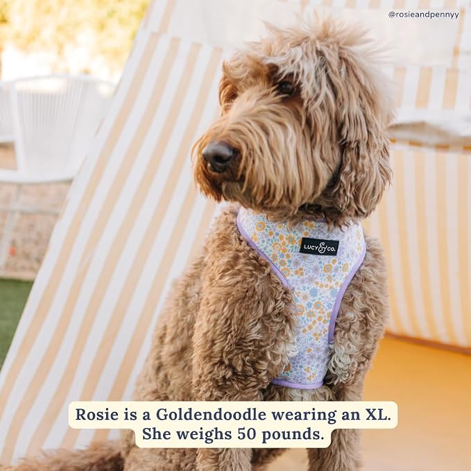 Lucy & Co. Reversible Dog Harness - Water-Repellent Neoprene, Dual-Print Design, Easy Swap Style, Adjustable Comfort Fit - Among Wildflowers Reversible Harness - Small