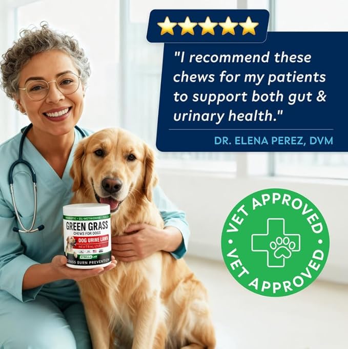 STRELLALAB Dog Pee Grass Chews - Urine Neutralizer for Green Grass Burn Spots - Grass Treatment for Pet Urine - Green Lawn Chews for Dogs with Probiotics - Made in USA (240Ct)
