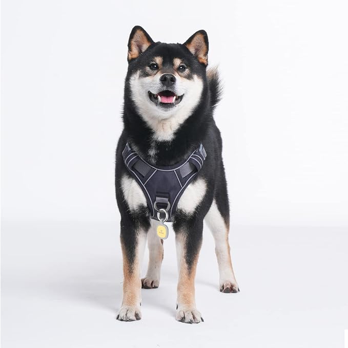 Pawaii No Pull Dog Harness with Pet ID Tag, Reflective Vest | Built for safer walks with a QR Pet ID Tag, ront no pull clip, reflective trim,control handle and breathable mesh lining