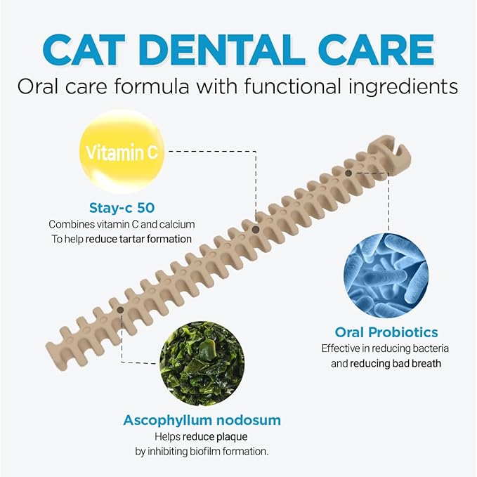 CATZZLE Cat Treats, Dental Chews for Indoor Cats, Cat Teeth Cleaning, Dental Care Snacks - Hairball Control (Salmon Flavor), 20 Sticks (5 oz.)