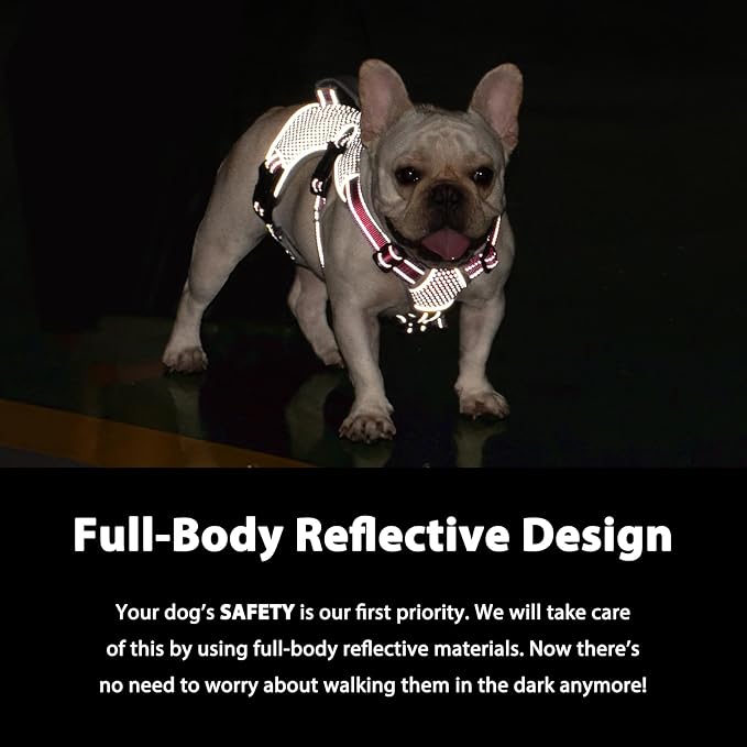 Escape Proof Dog Harness, Dachshund Harness, Reflective Dog Harness with Handle, Durable,Adjustable Vest for Small Medium Large Dogs Walking, Training, and Running Gear (Red,S)