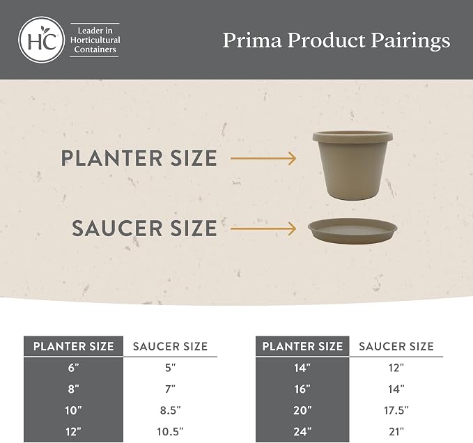 The HC Companies Prima Round Plastic Plant Pot w/Rolled Rim - Lightweight & UV Resistant Flower Pot for Herbs & More - Outdoor & Indoor Plant Pots w/Drainage (6 inch, Evergreen, Pack of 1)