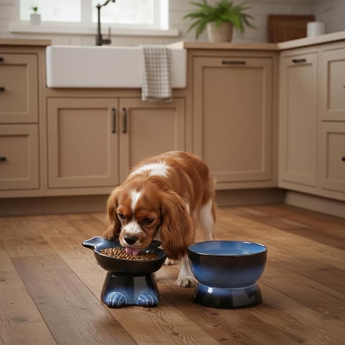 Nihow Dog Food & Water Bowls: Elevated Ceramic Bowls for Medium/Small Dog | Food Safe Raised Puppy Bowls - Vivid Blue Pet Bowl for Protecting Pet's Spine (Set of 2)