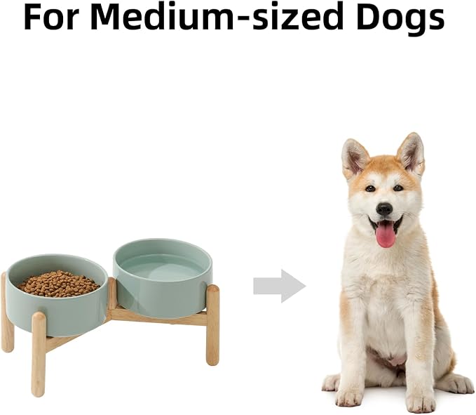 Havniva Elevated Dog Bowls Ceramic Dog Bowls with Stand, Dog Food Bowl | 6.1” Raised Dog Bowls with Non-Slip Wood Stand, Dog Food and Water Bowl Set, Double Dog Feeding Bowls for Small & Medium Dogs