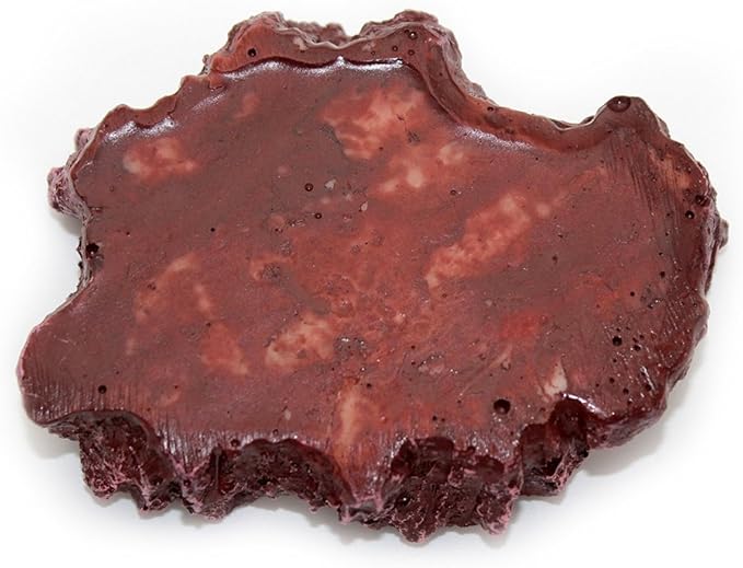 OMEM Reptile Natural Bowl Food and Water Dish Resin Made (Red S)