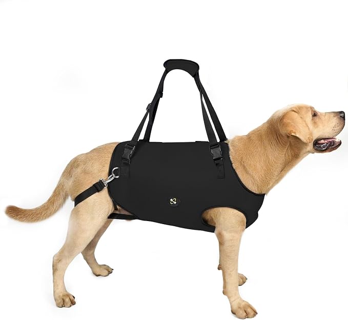 Coodeo Dog Lift Harness, Pet Support & Rehabilitation Sling Lift Adjustable Padded Breathable Straps for Old, Disabled, Joint Injuries, Arthritis, Loss of Stability Dogs Walk (Black, XL)