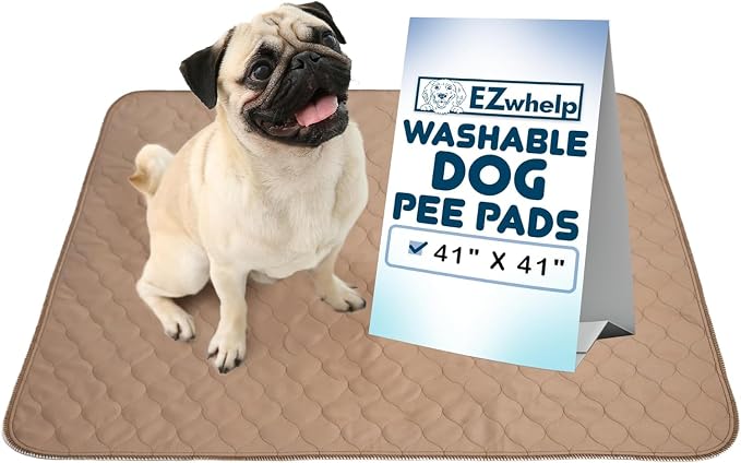 Reusable Dog Pee Pad, Waterproof Mat 41x41 in w/ Grommets, 1 Pack | 41x41 waterproof reusable pee pad with grommets for hanging, washable durable mat for dogs and puppies during whelping