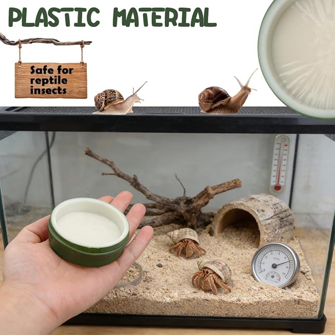 2 Pcs Snail Water and Food Bowl Hermit Crab Feeding Dish for Snail Crab Millipede Frog Tarantula Small Reptile