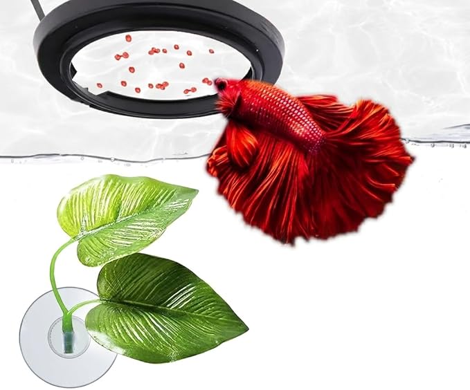 SunGrow Betta Ring and Leaf Hammock, Faux Fish Leaf Pad with Suction Cup, Spawning Ground, Breeding, and Resting Bed, Feeding Spot, Hideout Ornament and Aquarium Décor, Black Circle Fish Feeder, 2 Pcs