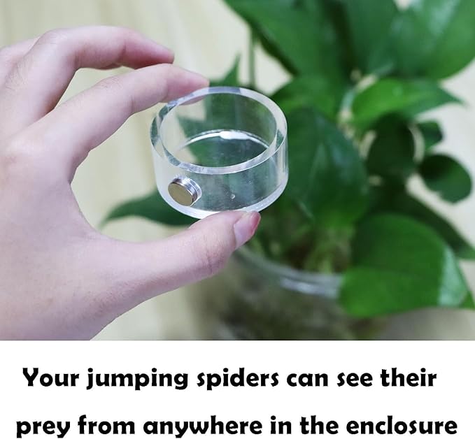 2Pcs Small Jumping Spider Feeding Dish, Magnetic Tiny Food Dishes Water Dish for Jumping Spider, Tarantula and Other Small Pets,35mm