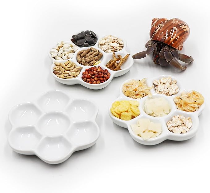 3 Pack Hermit Crab Food Bowl & Water Dish, Ceramic Hermit Crab Feeder Kit, Suitable for Hermit Crab Tarantula Snail