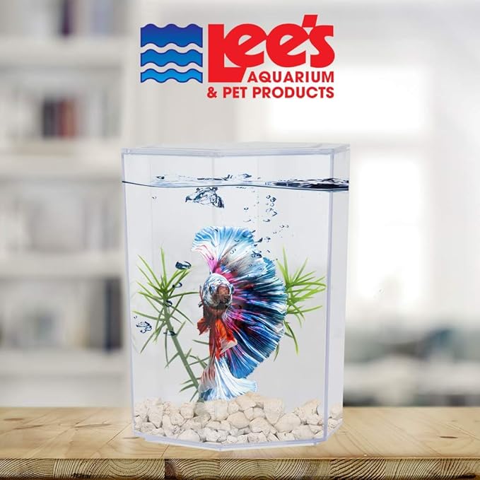 Lee's Betta Keeper with Lid, Gravel and Plant - Small
