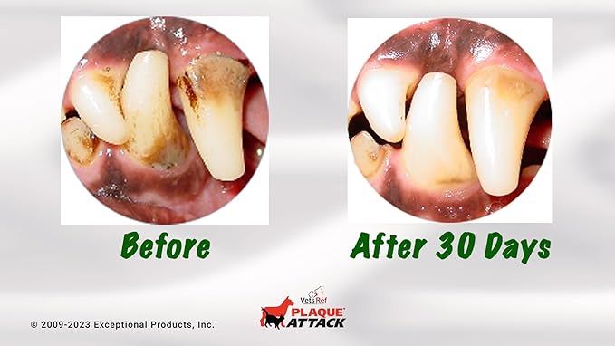 Pet Dental Spray