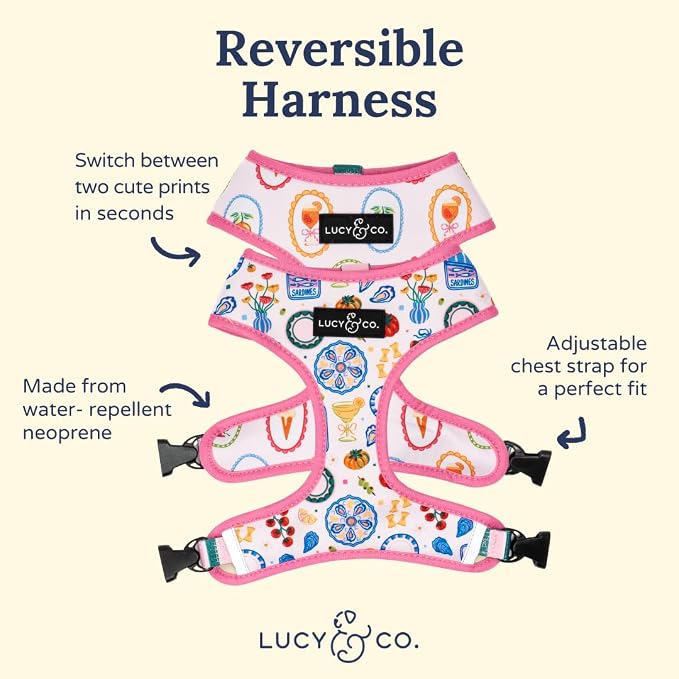 Lucy & Co. Dolce Vita Reversible Dog Harness, Adjustable Comfort Fit with Dual Leash Attachments, Large