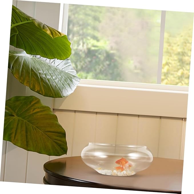BESPORTBLE Clear Glass Betta Fish Tank Bowl Hydroponic Plant Terrarium for Succulents Goldfish Spacious Interior Durable Design for Home Decor Events