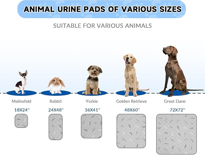 Sunheir Washable Pee Pads for Dogs Large 24" x 72" 2-Pack Reusable Puppy Pads Pet Training Pads, Absorb Dog Mats, Whelping Pad, Non-Slip Protects Against Urine Leakage, Runner Rug (Leaves - Sky Blue)