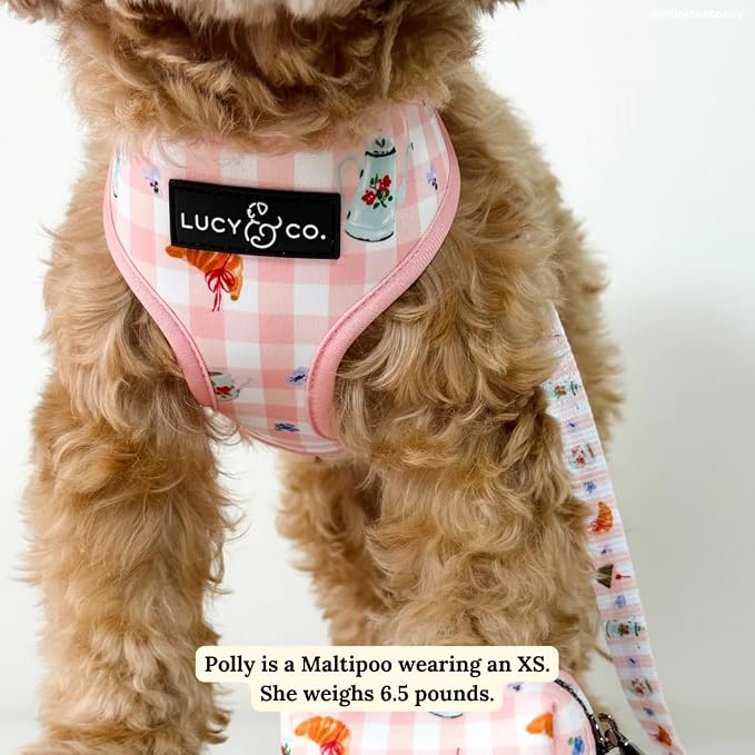 Lucy & Co. Reversible Dog Harness - Water-Repellent Neoprene, Dual-Print Design, Easy Swap Style, Adjustable Comfort Fit - Sipping Slowly Reversible Harness - Large