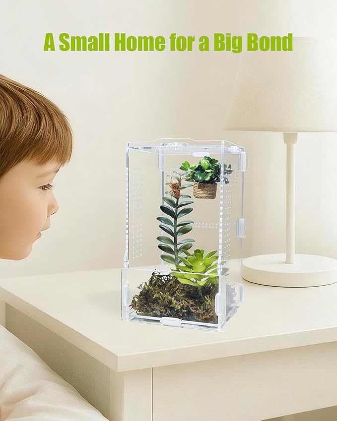 Jumping Spider Enclosure, Transparent Arboreal Tarantula Habitat, Praying Mantis Terrarium Critter Cage for Jumping Spider, Tarantula Slings, Mantis, Snail, Isopods, Beetles, Millipedes