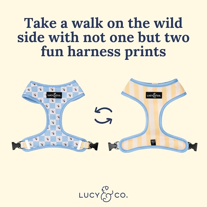 Lucy & Co. Reversible Dog Harness - Water-Repellent Neoprene, Dual-Print Design, Easy Swap Style, Adjustable Comfort Fit - Bumbling Around Reversible Harness - X-Small