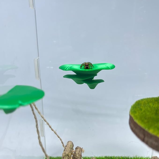 Jumping Spider Mushroom Shelf, Magnetically Concealed Jumping Spider Habitat,Serves As Enclosure Decorate Accessories for Spider Climbing Feeding and Platforms (Green)