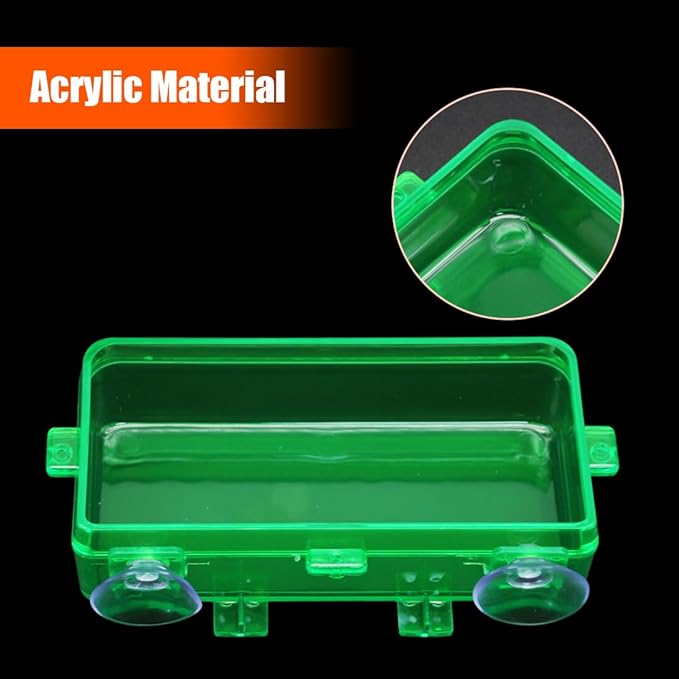 Reptile Feeder Chameleon Bowl 2 Pcs Anti-Escape Food Dish Bowl with Suction Cup for Chameleon Iguana Lizard Reptile Food and Water Feeding (Green, M)