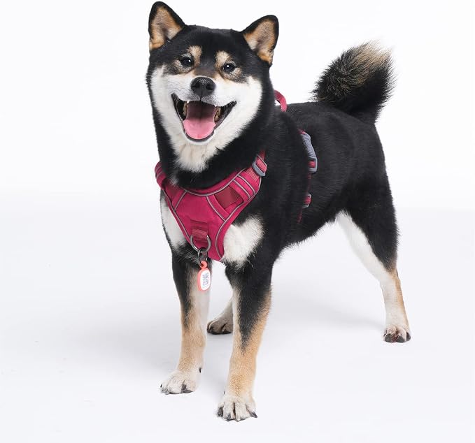 Pawaii No Pull Dog Harness with Pet ID Tag, Reflective Vest