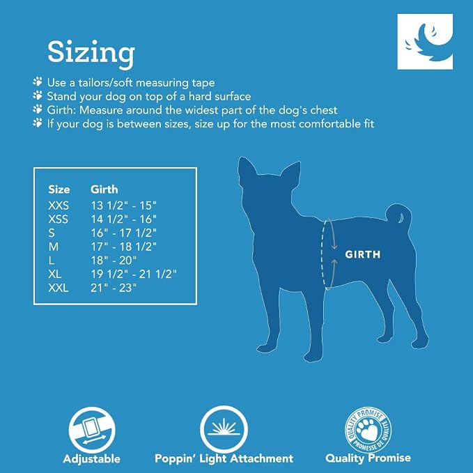 RC Pet Products Step in Cirque Soft Walking Dog Harness, X-Small, Black