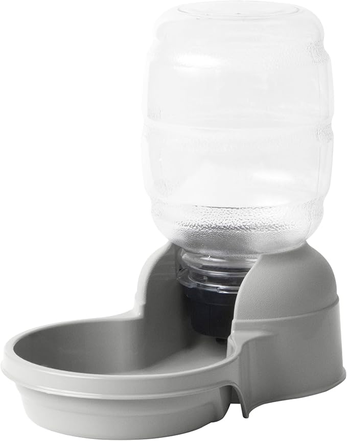Distributeur d'eau pour chiens et chats Aspen Pet LeBistro, fabriqué aux États-Unis
