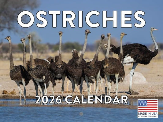 Ostrich Calendar 2026 Wall Monthly Ostrichs Gifts For Ostrich Lovers Women Men | American Made In The USA