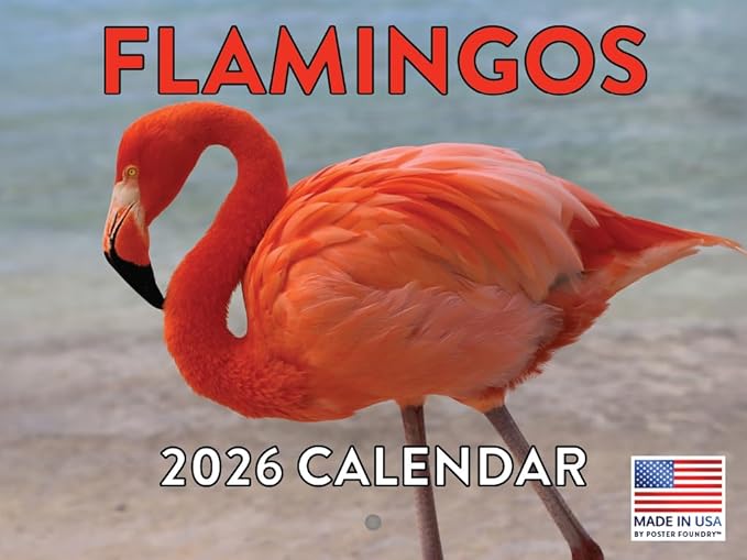 Flamingo Calendar 2026 Wall Monthly Flamingos Gifts For Flamingo Lovers Women Men | American Made In The USA